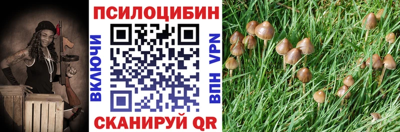 ссылка на мегу зеркало  Солигалич  Псилоцибиновые грибы Psilocybine cubensis 